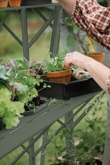 Royal Well Mary III - Kweektafel - Groen/grijs - 2,5x42,5x347 cm