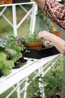 Royal Well Mary IV - Kweektafel - Wit - 2,5x42,5x416,4 cm