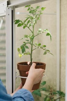 Royal Well Mary/Kate - Pothouder - Wit - 6,2x22x17 cm - 6,2x22x17 cm