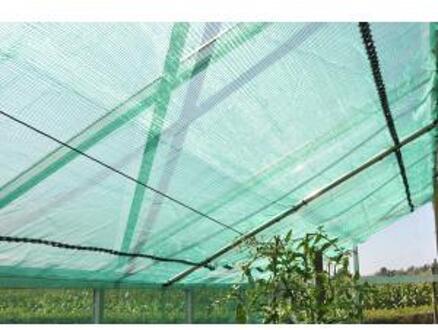 Royal Well Rw30-screen X 300cm Groen