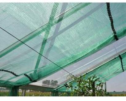 Royal Well rw30-screen x 400cm Groen