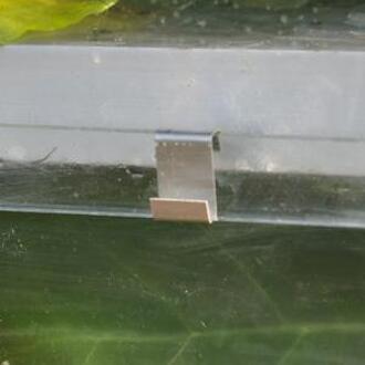 Royal Well Tuinkas glashaken 20 stuks