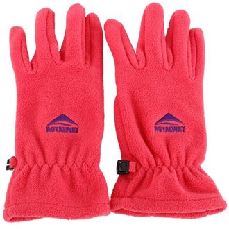 Royalway Fabriek Winkel Winter Warm Mannen Vrouwen Outdoor Sport Warme Fleece Touchscreen Handschoenen Volledige Vinger Klimmen Wandelen Handschoenen dames-RD015