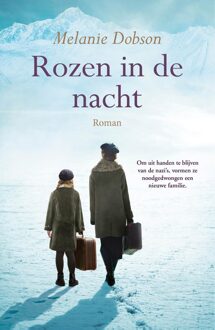 Rozen in de nacht - Melanie Dobson - ebook