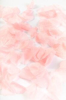 Rozenblaadjes Baby roze