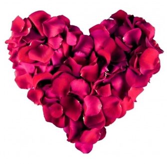 Rozenblaadjes - bordeaux - 500 stuks - Valentijnsdag - valentijn
