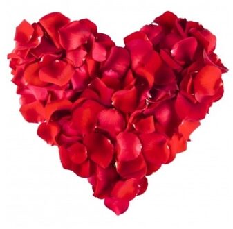 Rozenblaadjes - rood - 500x stuks - Valentijnsdag - valentijn