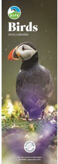 Rspb Birds Slim Calendar 2025 - Calendars, Carousel