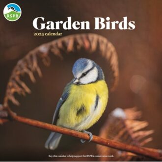 Rspb Garden Birds Square Wall Calendar 2025 - Calendars, Carousel
