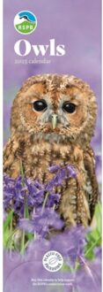 Rspb Owls Slim Calendar 2025 - Calendars, Carousel