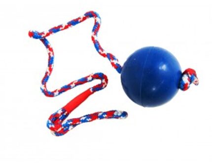 Rubber Bal - Hondenspeelgoed - 62 cm - Blauw