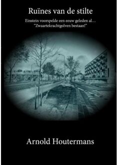 Ruïnes van de stilte - Boek Arnold Houtermans (9492247410)