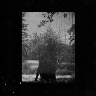 Ruins (LP)