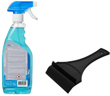 Ruitenontdooier spray - voor auto - 500 ml - antivries sprays - winter/vorst - incl. ijskrabber