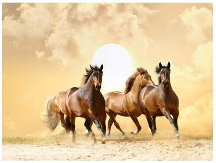 Running Paarden Vlies Fotobehang 250x193cm