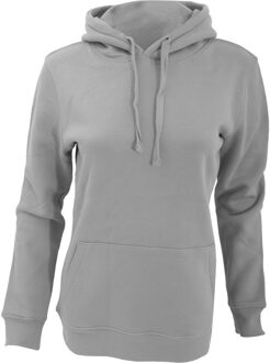 Russell Athletic Russell Dames Premium Authentieke Hoodie (3-Lagen Stof) (Licht Oxford) Grijs