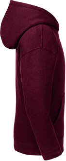 Russell Athletic Russell Kinderen/Kinderen Authentieke Sweatshirt met kap (Bourgondië) Bourgogne