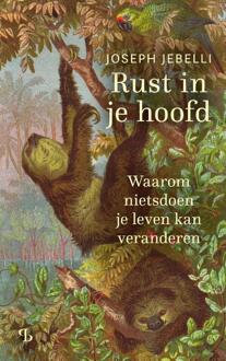 Rust in je hoofd -  Joseph Jebelli (ISBN: 9789463824200)
