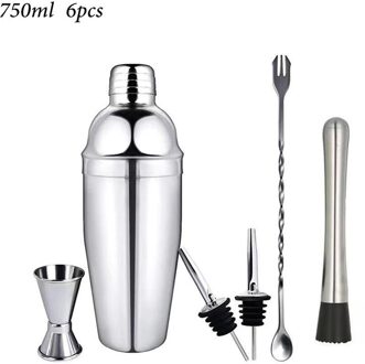 Rvs Cocktail Shaker Set 6 Stuk Martini Shaker, Drink Shaker, Barman Kit Met Meten Jigger, menglepel 12