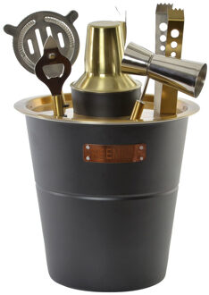 RVS cocktailshaker set 7-delig 500 ml Multi