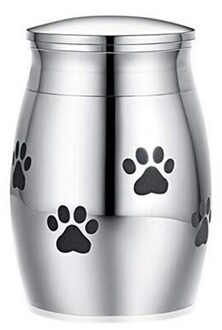 Rvs Funeral Voor Huisdieren Vogels Geen Vervorming Gedenktekens Muis Mini Kleine Kist Hond Kat Menselijk As Crematie Urn 2