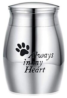 Rvs Funeral Voor Huisdieren Vogels Geen Vervorming Gedenktekens Muis Mini Kleine Kist Hond Kat Menselijk As Crematie Urn 3