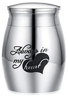 Rvs Funeral Voor Huisdieren Vogels Geen Vervorming Gedenktekens Muis Mini Kleine Kist Hond Kat Menselijk As Crematie Urn 4