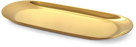Rvs Ovale Lade 23X9.5x1cm Multi-color Metalen Dienblad Voor Voedsel Aromatherapie Kaars Tool Badkamer Keuken B g
