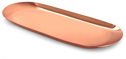 Rvs Ovale Lade 23X9.5x1cm Multi-color Metalen Dienblad Voor Voedsel Aromatherapie Kaars Tool Badkamer Keuken B roos goud
