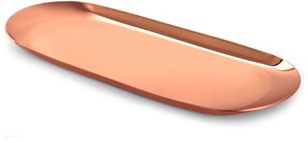 Rvs Ovale Lade 23X9.5x1cm Multi-color Metalen Dienblad Voor Voedsel Aromatherapie Kaars Tool Badkamer Keuken HVR88 4
