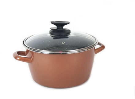 Rvs rose kookpan/pan met glazen deksel 20 cm 7 liter