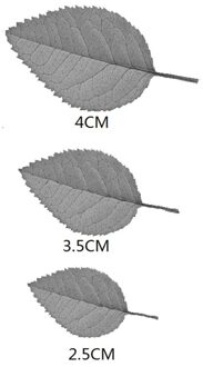 RX Rose leaf frame Scrapbooking Metalen Stansmessen Stencil voor DIY Fotoalbum Decor Papier Kaarten Maken Craft Embossing sterft