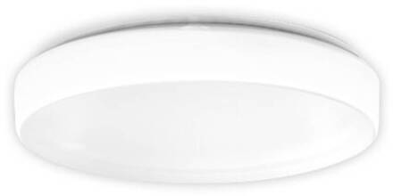 RZB Flat Polymero Cirkel Slim DALI 13W 30cm 830 opaalwit