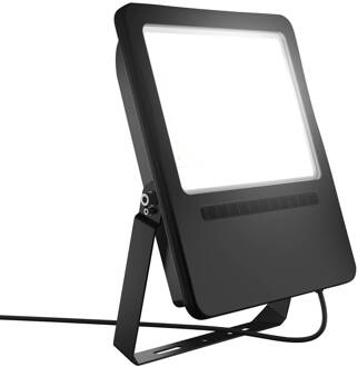 RZB HB 450 buitenspot IP65 22.000lm zwart, helder