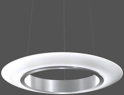 RZB Ring van Vuur Hanger Ellips DALI 69cm 39B 830 aluminium, opaalwitte satijnafwerking