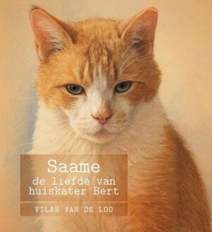 Saame -  Vilan van de Loo (ISBN: 9789465331089)