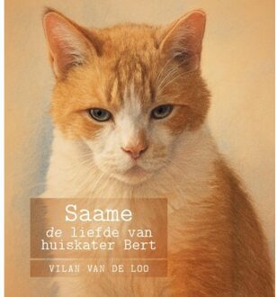 Saame - Vilan Van de Loo