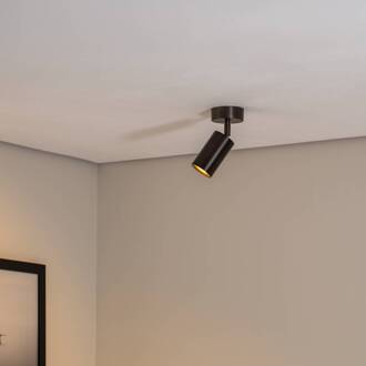 Sado plafondspot, 1-lamp, antraciet, staal, verstelbaar antraciet geborsteld