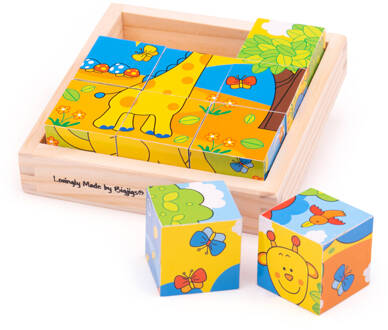 Safari Cube Puzzle