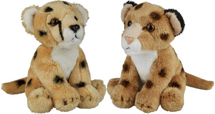 Safari dieren serie pluche knuffels 2x stuks - Cheetah en Luipaard van 15 cm - Knuffeldier Grijs