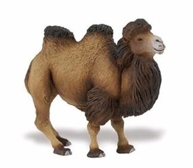 Safari LTD Plastic speelgoed dieren figuur kameel 11 cm Multi