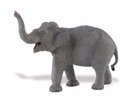 Safari LTD Plastic speelgoed figuur Aziatische olifant 16 cm