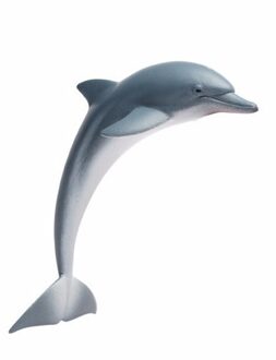 Safari LTD Plastic speelgoed figuur dolfijn 11 cm
