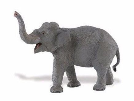 Safari LTD Safari Wilde Dieren Aziatische Olifant Junior 16,5 Cm Grijs