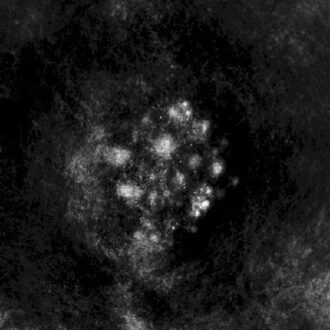 Saffronkeira - Synedoche -Digi- (Usa)