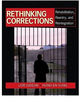 Sage Community Projects As Social Activism: From Direct Action To Direct Services