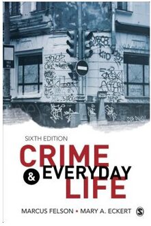 Sage Crime And Everyday Life - Felson, Marcus