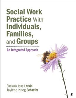Sage Social Work Practice With Individuals, Families, And Groups - Shelagh J. Larkin