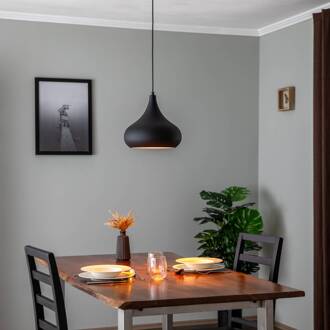 Saglam 3774 hanglamp 1-lamp Ø30cm zwart/goud zwart, goud