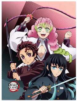 Sakami Merchandise Demon Slayer: Kimetsu no Yaiba blanket Tanjiro, Mitsuri, Muichiro 120 x 160 cm